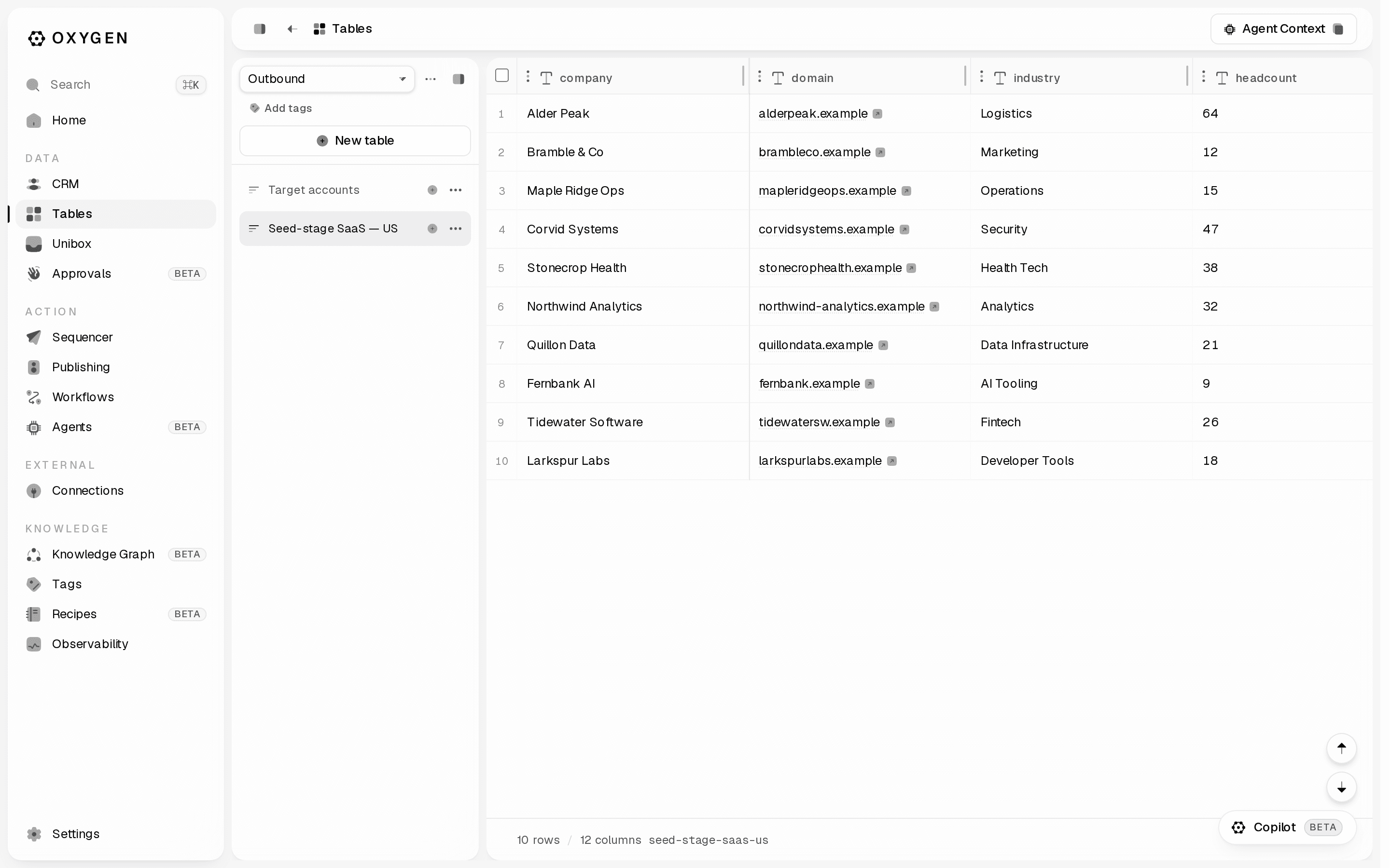 A workspace table grid with typed columns